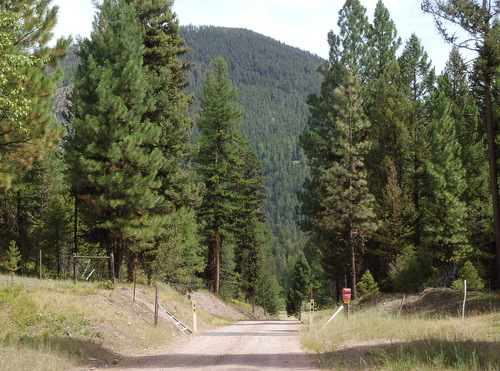 GDMBR: Re-entering the National Forest.